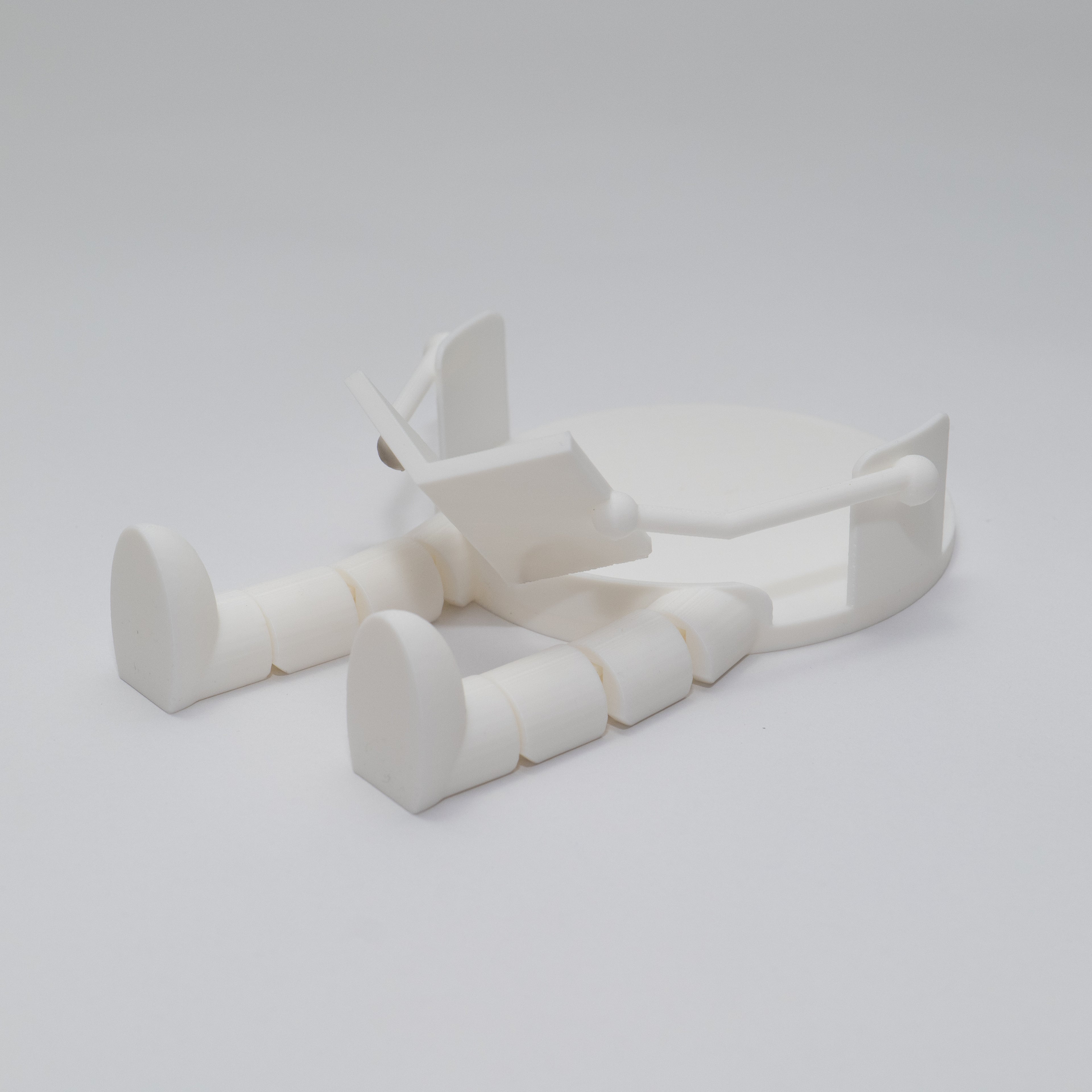 Toilet Roll Buddy